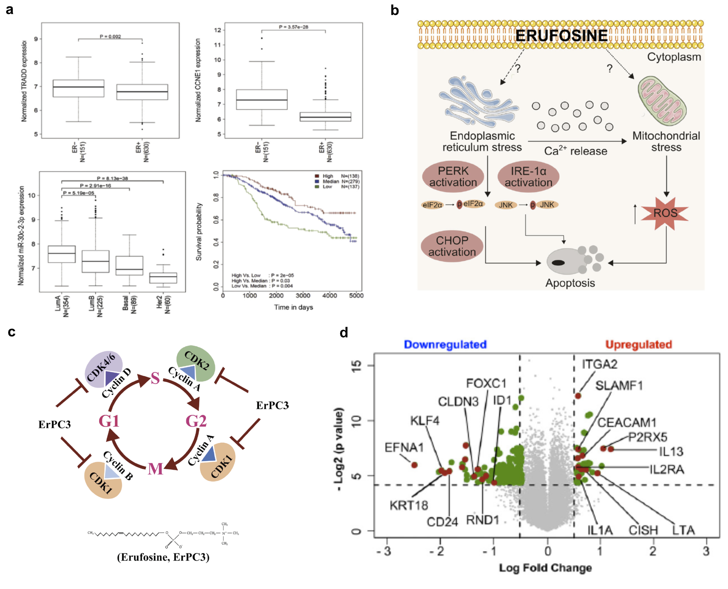 (a) Differential expression of miR-30c-2-3p and its targets TRADD and CCNE1 in ER- breast cancer (b,c) Mechanism of Erufosine anti tumor effect (d) Differential gene expression analysis of CCR9 high and low cancer cell (MCF7) grown in co-culture with Tcells