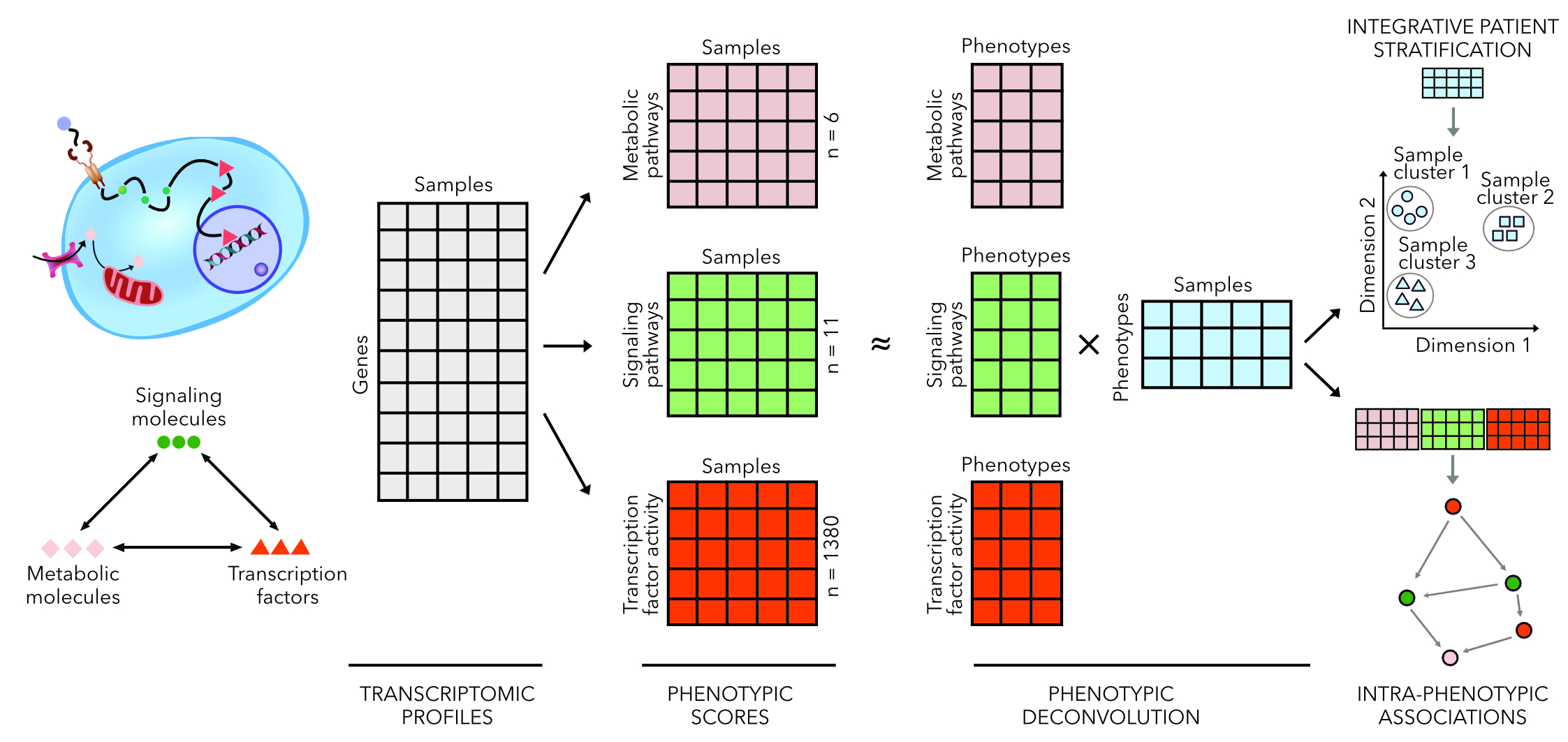 Proposed methodology for computational phenotyping