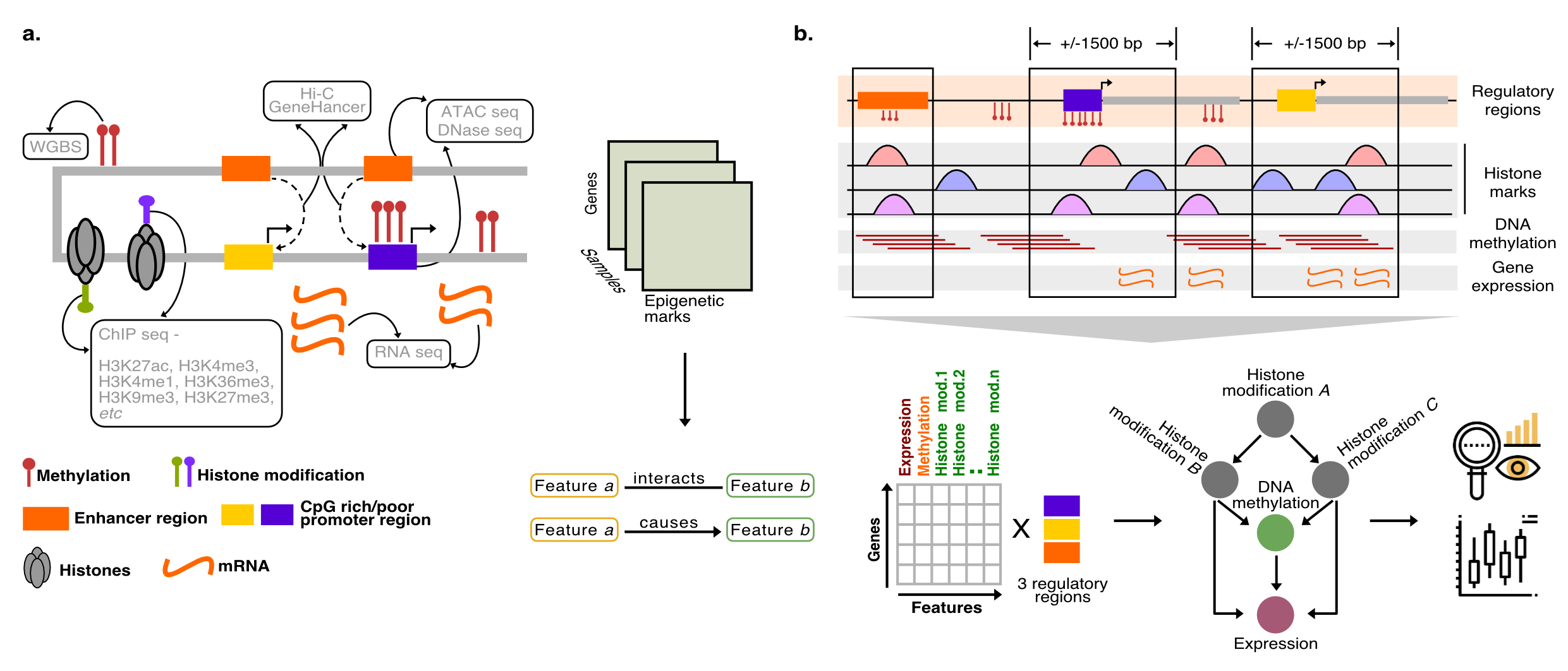 (a) Gene regulation is the product of complex interplay between cis- and trans- regulatory factors, the technologies used to quantitatively measure these factors are shown in the boxes. By integrating such information across different regulatory features across multiple tissues one could identify fundamental associations among the regulatory components (b) We want to integrate these information across multiple tissues to identify common governing principles behind transcriptional regulation